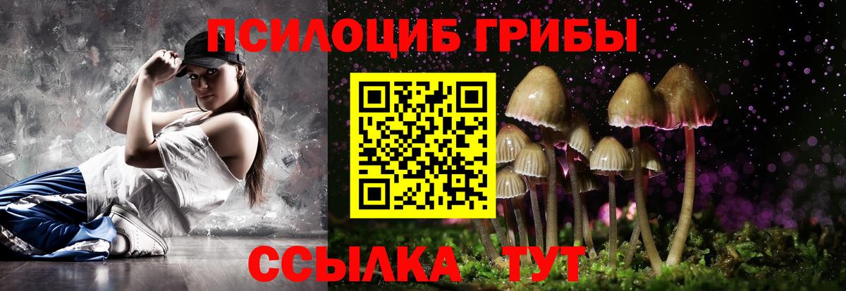 Галлюциногенные грибы Psilocybine cubensis Ялуторовск