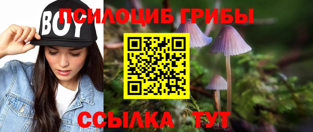 Ялуторовск  Галлюциногенные грибы мицелий  где продают наркотики  Вход с VPN 